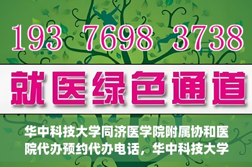 华中科技大学同济医学院附属协和医院代办预约代办电话，华中科技大学同济医学院附属协和医院预约代办服务热线解析