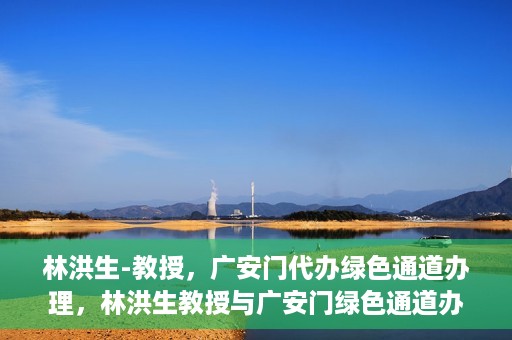 林洪生-教授，广安门代办绿色通道办理，林洪生教授与广安门绿色通道办理，专家解读与高效代办之道