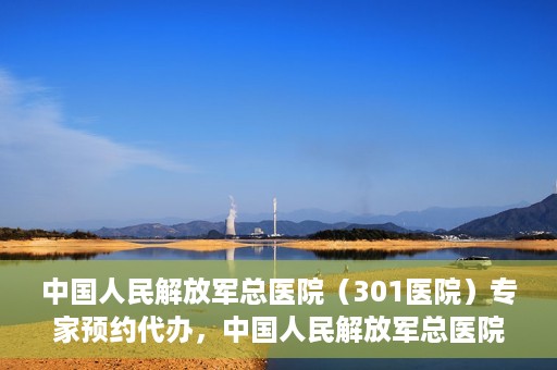 中国人民解放军总医院（301医院）专家预约代办，中国人民解放军总医院（301医院）专家预约代办服务详解
