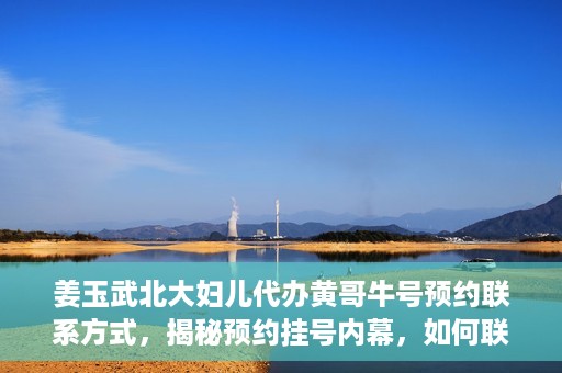 姜玉武北大妇儿代办黄哥牛号预约联系方式，揭秘预约挂号内幕，如何联系姜玉武北大妇儿代办黄哥牛号？