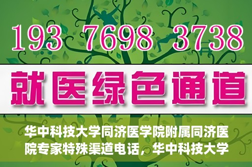 华中科技大学同济医学院附属同济医院专家特殊渠道电话，华中科技大学同济医院专家特殊渠道电话专线揭秘