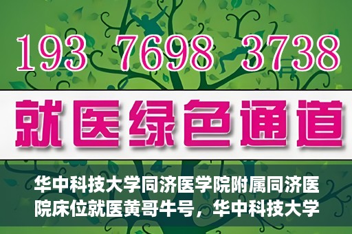 华中科技大学同济医学院附属同济医院床位就医黄哥牛号，华中科技大学同济医院床位就医攻略，黄哥牛号助您轻松预约就医