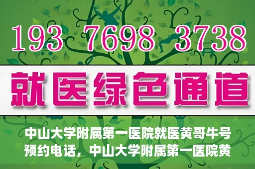 中山大学附属第一医院就医黄哥牛号预约电话，中山大学附属第一医院黄哥牛号预约电话及就医指南