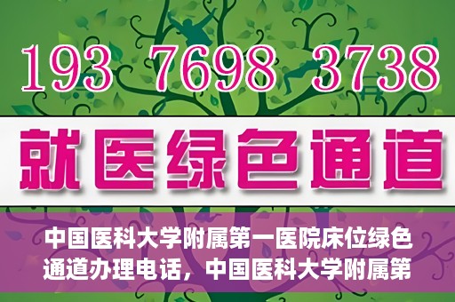 中国医科大学附属第一医院床位绿色通道办理电话，中国医科大学附属第一医院床位绿色通道咨询热线揭秘
