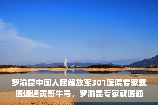 罗渝昆中国人民解放军301医院专家就医通道黄哥牛号，罗渝昆专家就医通道揭秘，中国人民解放军301医院黄哥牛号引领健康之路