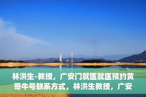 林洪生-教授，广安门就医就医预约黄哥牛号联系方式，林洪生教授，广安门就医预约攻略及黄哥牛号联系方式揭秘