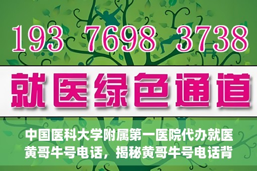 中国医科大学附属第一医院代办就医黄哥牛号电话，揭秘黄哥牛号电话背后的就医代办故事——中国医科大学附属第一医院就医指南与解读