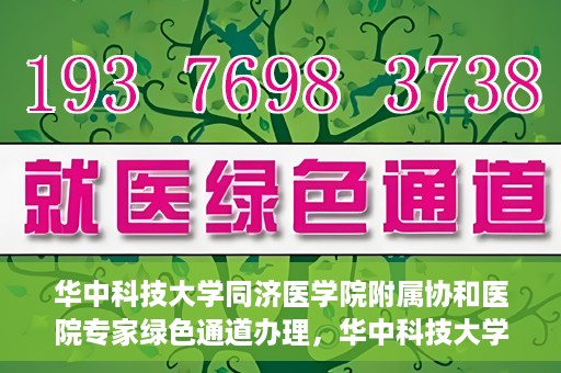 华中科技大学同济医学院附属协和医院专家绿色通道办理，华中科技大学同济医学院附属协和医院专家绿色通道办理详解