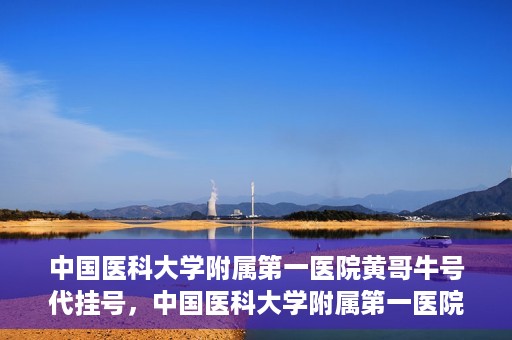 中国医科大学附属第一医院黄哥牛号代挂号，中国医科大学附属第一医院黄哥牛号代挂号服务详解