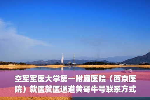 空军军医大学第一附属医院（西京医院）就医就医通道黄哥牛号联系方式，空军军医大学第一附属医院（西京医院）就医通道详解，黄哥牛号联系方式揭秘！