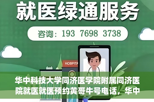 华中科技大学同济医学院附属同济医院就医就医预约黄哥牛号电话，华中科技大学同济医院就医预约指南，黄哥牛号电话全解析