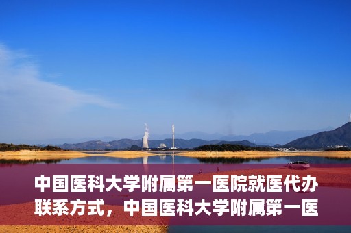 中国医科大学附属第一医院就医代办联系方式，中国医科大学附属第一医院就医代办服务联系方式及流程解析