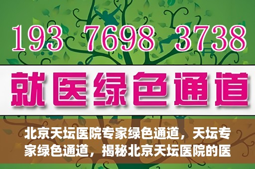 北京天坛医院专家绿色通道，天坛专家绿色通道，揭秘北京天坛医院的医疗专家服务通道