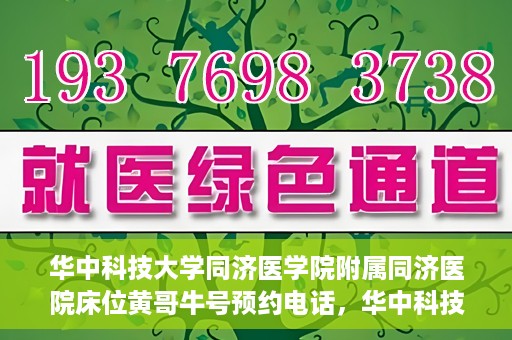 华中科技大学同济医学院附属同济医院床位黄哥牛号预约电话，华中科技大学同济医院床位预约及黄哥牛号咨询热线