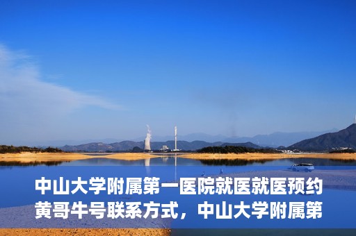 中山大学附属第一医院就医就医预约黄哥牛号联系方式，中山大学附属第一医院就医预约指南，黄哥牛号联系方式揭秘