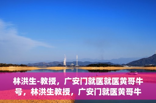 林洪生-教授，广安门就医就医黄哥牛号，林洪生教授，广安门就医黄哥牛号的探索与实践