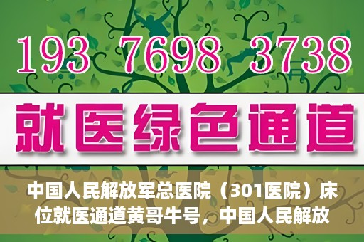 中国人民解放军总医院（301医院）床位就医通道黄哥牛号，中国人民解放军总医院（301医院）床位就医通道详解，黄哥牛号助您快速就医！