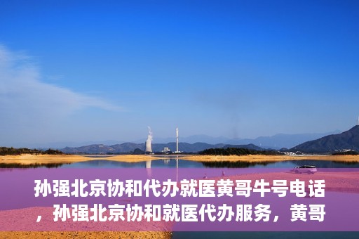 孙强北京协和代办就医黄哥牛号电话，孙强北京协和就医代办服务，黄哥牛号联系电话曝光