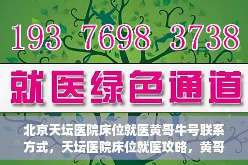 北京天坛医院床位就医黄哥牛号联系方式，天坛医院床位就医攻略，黄哥牛号联系方式揭秘