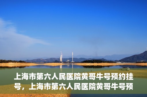 上海市第六人民医院黄哥牛号预约挂号，上海市第六人民医院黄哥牛号预约挂号攻略，轻松挂号，便捷就医体验