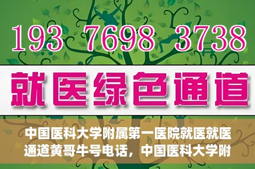 中国医科大学附属第一医院就医就医通道黄哥牛号电话，中国医科大学附属第一医院就医通道解析，黄哥牛号电话及其服务详解