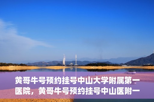 黄哥牛号预约挂号中山大学附属第一医院，黄哥牛号预约挂号中山医附一院，一站式便捷就医体验