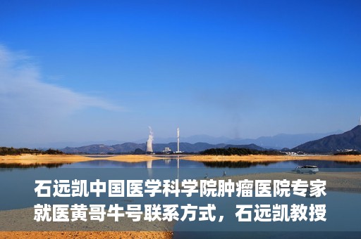 石远凯中国医学科学院肿瘤医院专家就医黄哥牛号联系方式，石远凯教授，中国医学科学院肿瘤医院权威专家解析就医攻略及联系方式揭秘