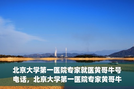 北京大学第一医院专家就医黄哥牛号电话，北京大学第一医院专家黄哥牛号电话就医指南