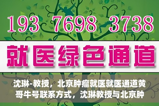 沈琳-教授，北京肿瘤就医就医通道黄哥牛号联系方式，沈琳教授与北京肿瘤就医通道，黄哥牛号联系方式揭秘
