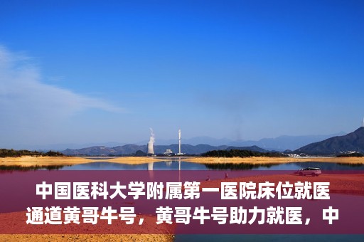 中国医科大学附属第一医院床位就医通道黄哥牛号，黄哥牛号助力就医，中国医科大学附属第一医院床位就医通道解析