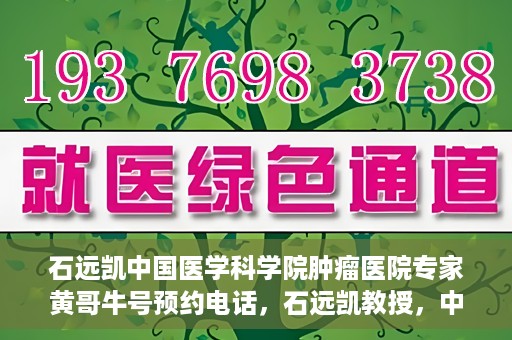 石远凯中国医学科学院肿瘤医院专家黄哥牛号预约电话，石远凯教授，中国医学科学院肿瘤医院专家挂号预约攻略及黄哥牛号联系电话揭秘