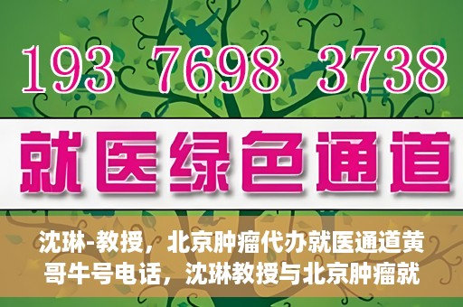 沈琳-教授，北京肿瘤代办就医通道黄哥牛号电话，沈琳教授与北京肿瘤就医通道，黄哥牛号电话背后的故事
