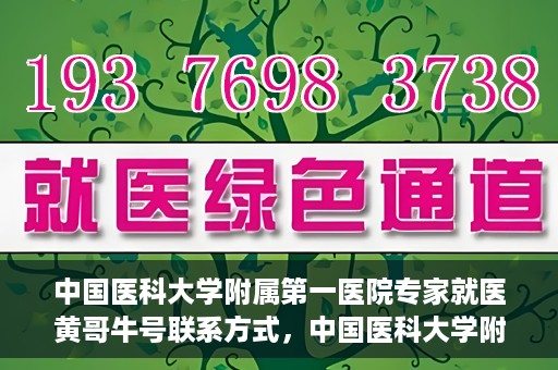 中国医科大学附属第一医院专家就医黄哥牛号联系方式，中国医科大学附属第一医院专家黄哥牛号联系方式及就医指南
