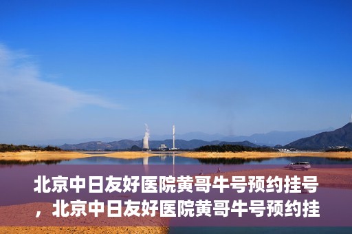 北京中日友好医院黄哥牛号预约挂号，北京中日友好医院黄哥牛号预约挂号指南