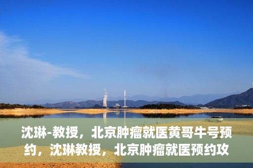 沈琳-教授，北京肿瘤就医黄哥牛号预约，沈琳教授，北京肿瘤就医预约攻略——黄哥牛号解读