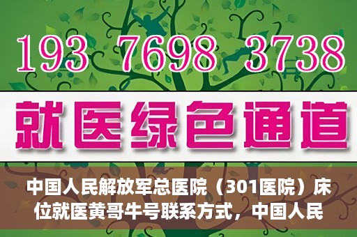 中国人民解放军总医院（301医院）床位就医黄哥牛号联系方式，中国人民解放军总医院（301医院）床位就医信息及联系方式解析，黄哥牛号就医指南