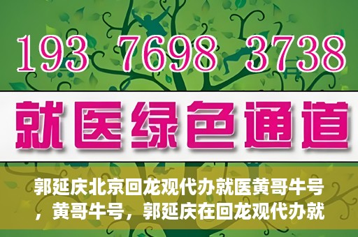 郭延庆北京回龙观代办就医黄哥牛号，黄哥牛号，郭延庆在回龙观代办就医的便捷之路