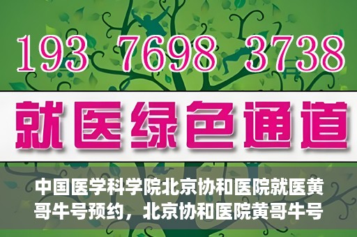 中国医学科学院北京协和医院就医黄哥牛号预约，北京协和医院黄哥牛号预约攻略，就医指南与医学权威体验