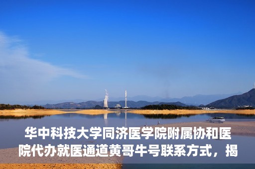 华中科技大学同济医学院附属协和医院代办就医通道黄哥牛号联系方式，揭秘华中科技大学同济医学院附属协和医院代办就医通道，黄哥牛号联系方式及操作内幕揭秘