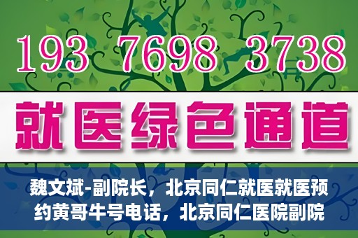 魏文斌-副院长，北京同仁就医就医预约黄哥牛号电话，北京同仁医院副院长魏文斌，就医预约背后的故事与黄哥牛号电话揭秘