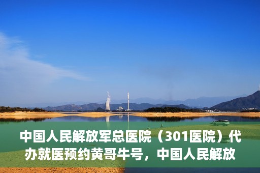 中国人民解放军总医院（301医院）代办就医预约黄哥牛号，中国人民解放军总医院（301医院）黄哥牛号就医预约代办服务解析