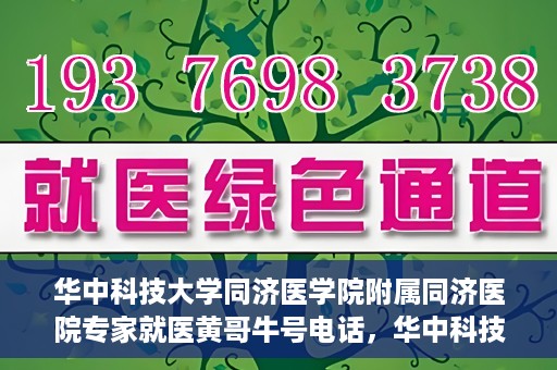 华中科技大学同济医学院附属同济医院专家就医黄哥牛号电话，华中科技大学同济医院专家黄哥牛号电话就医指南