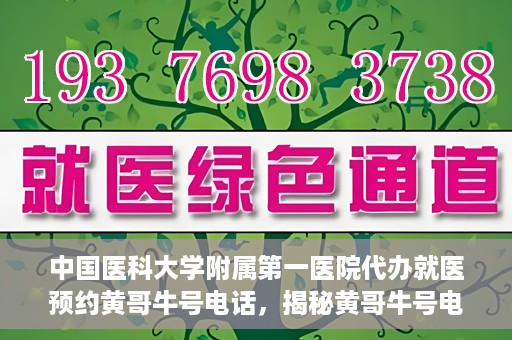 中国医科大学附属第一医院代办就医预约黄哥牛号电话，揭秘黄哥牛号电话，中国医科大学附属第一医院预约就医代办服务详解