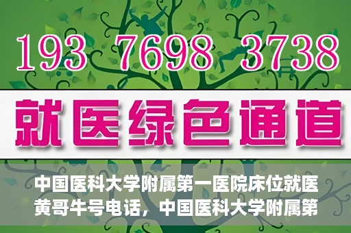 中国医科大学附属第一医院床位就医黄哥牛号电话，中国医科大学附属第一医院床位就医咨询黄哥牛号专线电话揭秘