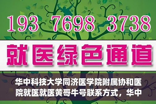 华中科技大学同济医学院附属协和医院就医就医黄哥牛号联系方式，华中科技大学同济医学院附属协和医院就医指南，黄哥牛号联系方式揭秘