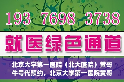 北京大学第一医院（北大医院）黄哥牛号代预约，北京大学第一医院黄哥牛号预约服务解析