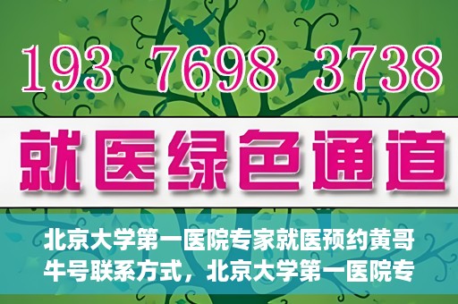 北京大学第一医院专家就医预约黄哥牛号联系方式，北京大学第一医院专家就医预约指南，黄哥牛号联系方式全解析