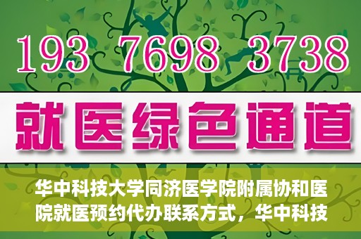 华中科技大学同济医学院附属协和医院就医预约代办联系方式，华中科技大学同济医学院附属协和医院就医预约代办服务联系方式解析