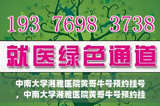 中南大学湘雅医院黄哥牛号预约挂号，中南大学湘雅医院黄哥牛号预约挂号攻略，轻松挂号，无忧就医体验
