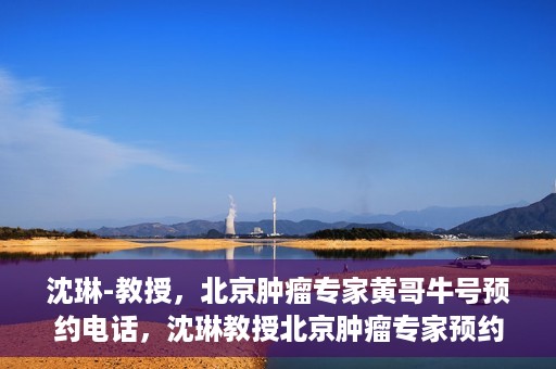 沈琳-教授，北京肿瘤专家黄哥牛号预约电话，沈琳教授北京肿瘤专家预约电话及黄哥牛号解读